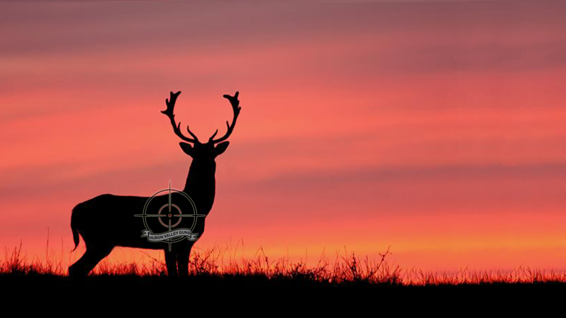 Deer hunting 1080P 2K 4K 5K HD wallpapers free download  Wallpaper Flare